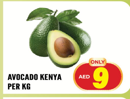 Avocado from Kenya available at Dream Land in UAE - Sharjah / Ajman