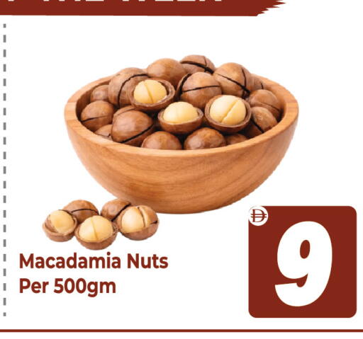 available at Dream Land in UAE - Sharjah / Ajman
