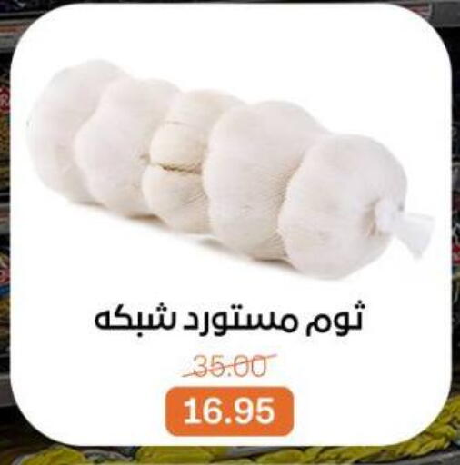 available at بيت الجملة in Egypt - القاهرة