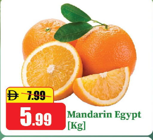Mandarin from Egypt available at الأسواق هايبرماركت in الإمارات العربية المتحدة , الامارات - الشارقة / عجمان