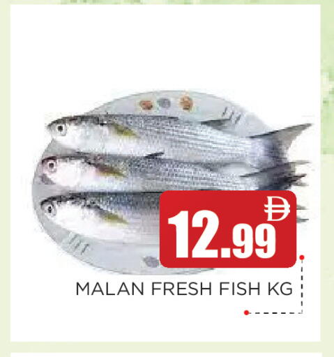 available at عين المدينة هايبرماركت in الإمارات العربية المتحدة , الامارات - الشارقة / عجمان