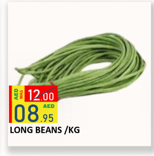 available at ROYAL GULF HYPERMARKET LLC in UAE - Abu Dhabi