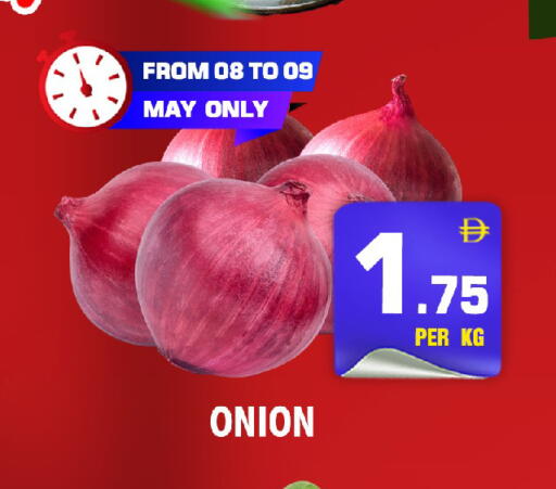 Onion available at نايت تو نايت in الإمارات العربية المتحدة , الامارات - الشارقة / عجمان