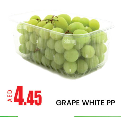 Mango available at مانجو هايبرماركت in الإمارات العربية المتحدة , الامارات - دبي