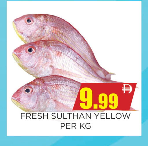 available at اينس المدينة هايبرماركت in الإمارات العربية المتحدة , الامارات - الشارقة / عجمان