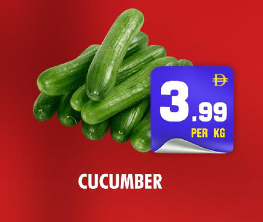 Cucumber available at نايت تو نايت in الإمارات العربية المتحدة , الامارات - الشارقة / عجمان