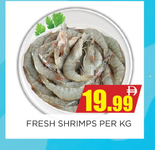 available at اينس المدينة هايبرماركت in الإمارات العربية المتحدة , الامارات - الشارقة / عجمان