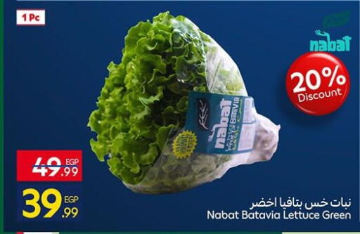 Lettuce available at كارفور in Egypt - القاهرة