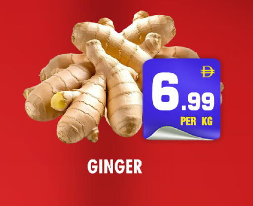 Ginger available at نايت تو نايت in الإمارات العربية المتحدة , الامارات - الشارقة / عجمان