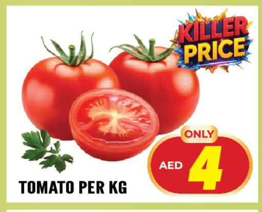 Tomato available at Dream Land in UAE - Sharjah / Ajman