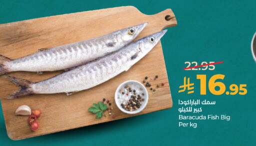 available at لولو هايبرماركت in مملكة العربية السعودية, السعودية, سعودية - جدة