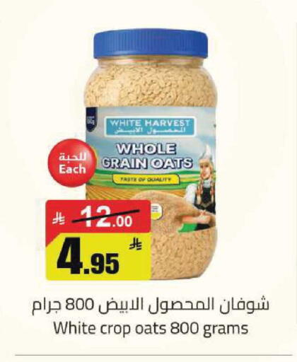 available at مخازن هايبرماركت in مملكة العربية السعودية, السعودية, سعودية - تبوك