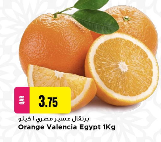 Orange from Egypt available at مرزا هايبرماركت in قطر - الشمال