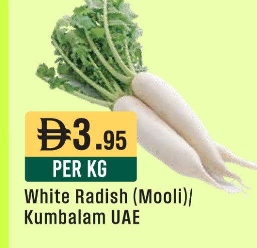 Radish available at ويست زون سوبرماركت in الإمارات العربية المتحدة , الامارات - الشارقة / عجمان