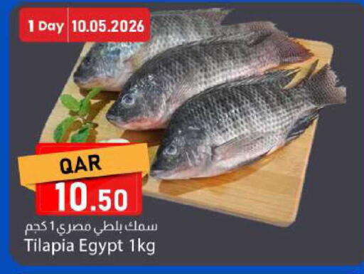 available at Dana Market in Qatar - Doha