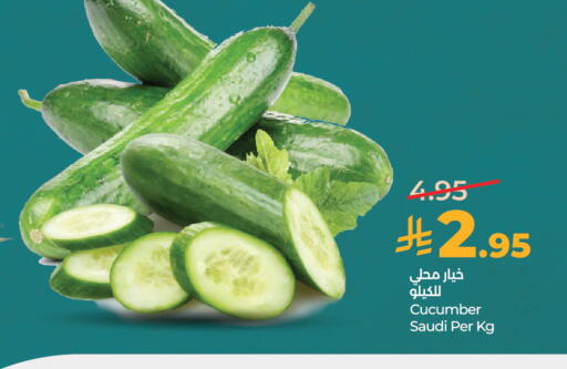 Cucumber from Saudi Arabia available at لولو هايبرماركت in مملكة العربية السعودية, السعودية, سعودية - الرياض