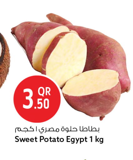 Sweet Potato from Egypt available at سفاري هايبر ماركت in قطر - الضعاين