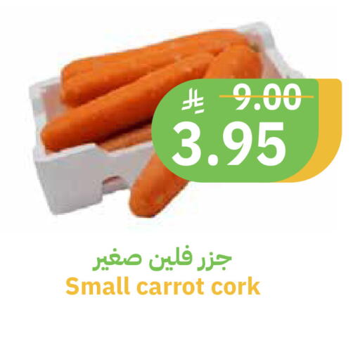 Carrot available at Qateba Markets in KSA, Saudi Arabia, Saudi - Buraidah