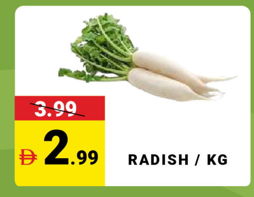 Radish available at مدهور سوبرماركت in الإمارات العربية المتحدة , الامارات - دبي