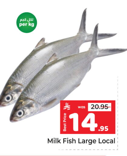 available at Makkah Hypermarket in KSA, Saudi Arabia, Saudi - Riyadh