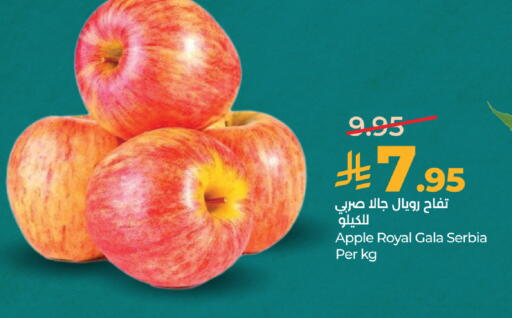 Apple from Serbia available at لولو هايبرماركت in مملكة العربية السعودية, السعودية, سعودية - تبوك