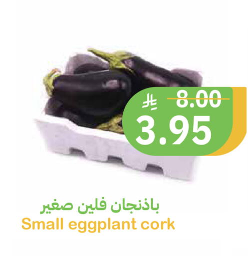 Eggplant available at Qateba Markets in KSA, Saudi Arabia, Saudi - Buraidah