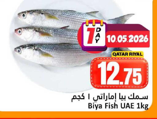 available at دانة هايبرماركت in قطر - الشمال