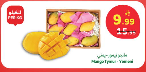 Mango from Yemen available at الراية in مملكة العربية السعودية, السعودية, سعودية - تبوك