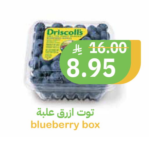 Blueberry BlueBerry available at أسواق قاطبة in مملكة العربية السعودية, السعودية, سعودية - بريدة