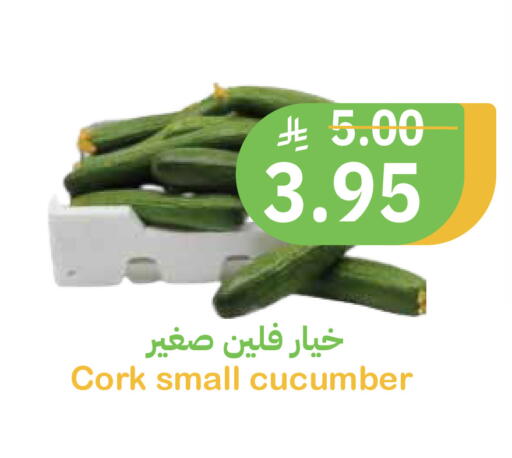 Cucumber available at Qateba Markets in KSA, Saudi Arabia, Saudi - Buraidah