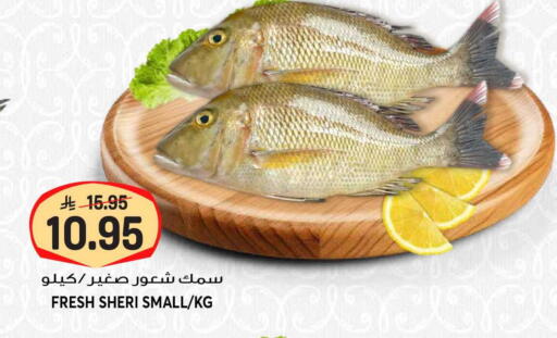 available at Grand Hyper in KSA, Saudi Arabia, Saudi - Riyadh