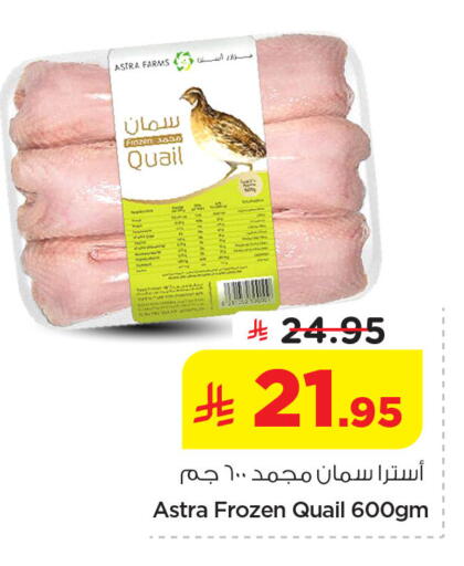available at نستو in مملكة العربية السعودية, السعودية, سعودية - الخبر‎