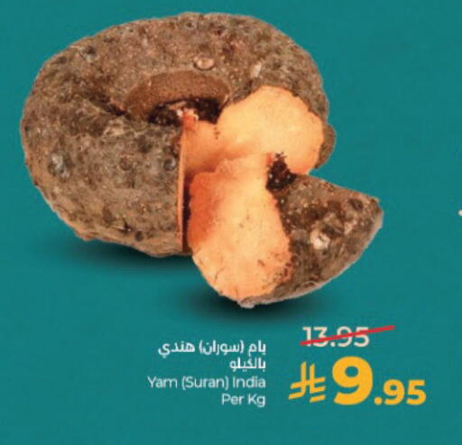 from India available at لولو هايبرماركت in مملكة العربية السعودية, السعودية, سعودية - الخبر‎
