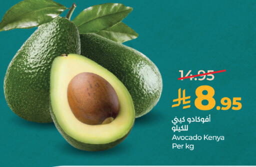 Avocado from Kenya available at لولو هايبرماركت in مملكة العربية السعودية, السعودية, سعودية - جدة