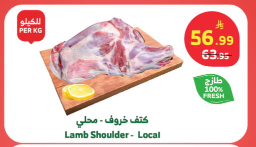 available at الراية in مملكة العربية السعودية, السعودية, سعودية - تبوك