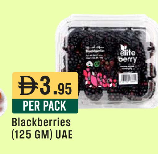 available at ويست زون سوبرماركت in الإمارات العربية المتحدة , الامارات - الشارقة / عجمان