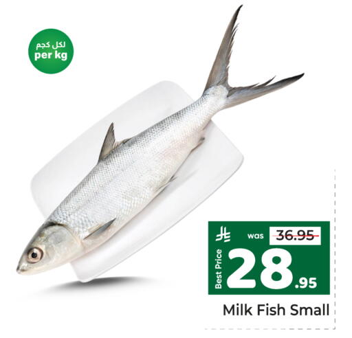 available at Makkah Hypermarket in KSA, Saudi Arabia, Saudi - Riyadh