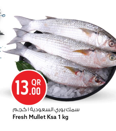 available at سفاري هايبر ماركت in قطر - الشحانية