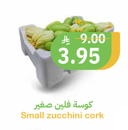 Zucchini available at Qateba Markets in KSA, Saudi Arabia, Saudi - Buraidah