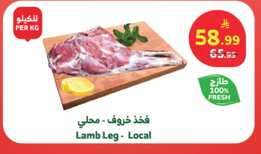 available at الراية in مملكة العربية السعودية, السعودية, سعودية - تبوك