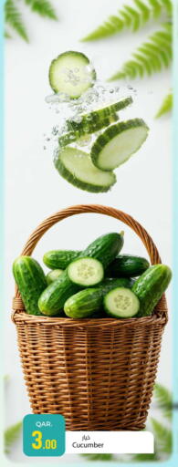 Cucumber available at Paris Hypermarket in Qatar - Umm Salal