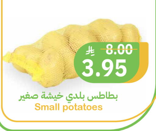 available at أسواق قاطبة in مملكة العربية السعودية, السعودية, سعودية - بريدة