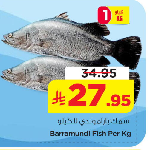 available at نستو in مملكة العربية السعودية, السعودية, سعودية - الخبر‎