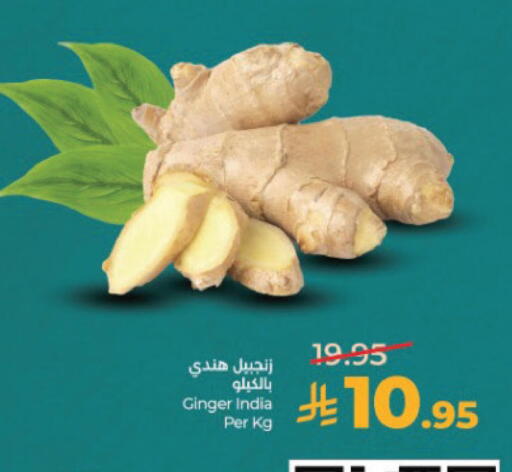 Ginger from India available at لولو هايبرماركت in مملكة العربية السعودية, السعودية, سعودية - الخبر‎