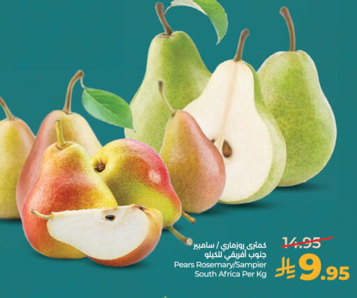 Rosemary from South Africa available at LULU Hypermarket in KSA, Saudi Arabia, Saudi - Al-Kharj