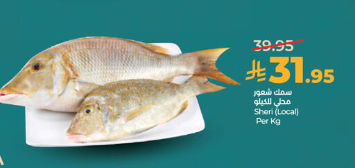 available at LULU Hypermarket in KSA, Saudi Arabia, Saudi - Al-Kharj