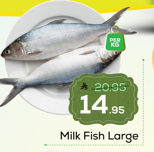 available at Elite 10 Hypermarket in KSA, Saudi Arabia, Saudi - Riyadh