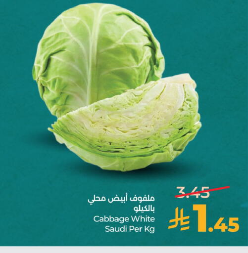 Cabbage from Saudi Arabia available at لولو هايبرماركت in مملكة العربية السعودية, السعودية, سعودية - الخبر‎