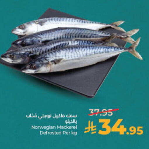 available at لولو هايبرماركت in مملكة العربية السعودية, السعودية, سعودية - الخبر‎