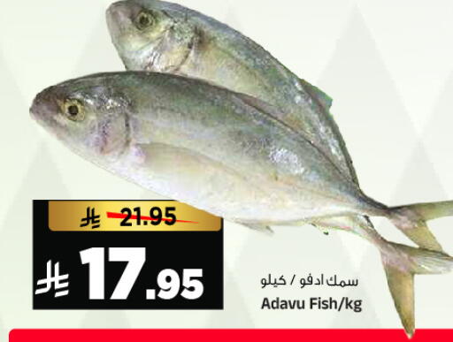 available at المدينة هايبرماركت in مملكة العربية السعودية, السعودية, سعودية - الرياض